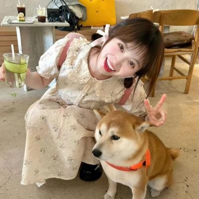 换妆游戏